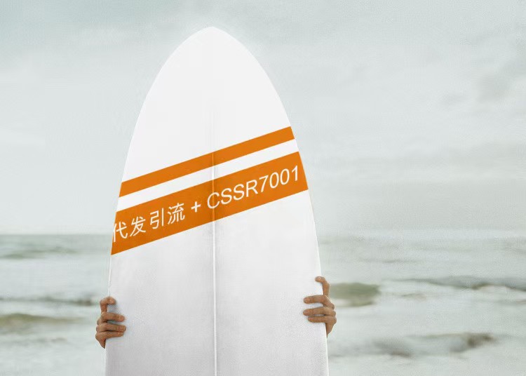 大众点评关键词排名代发价格（发帖流程公布）